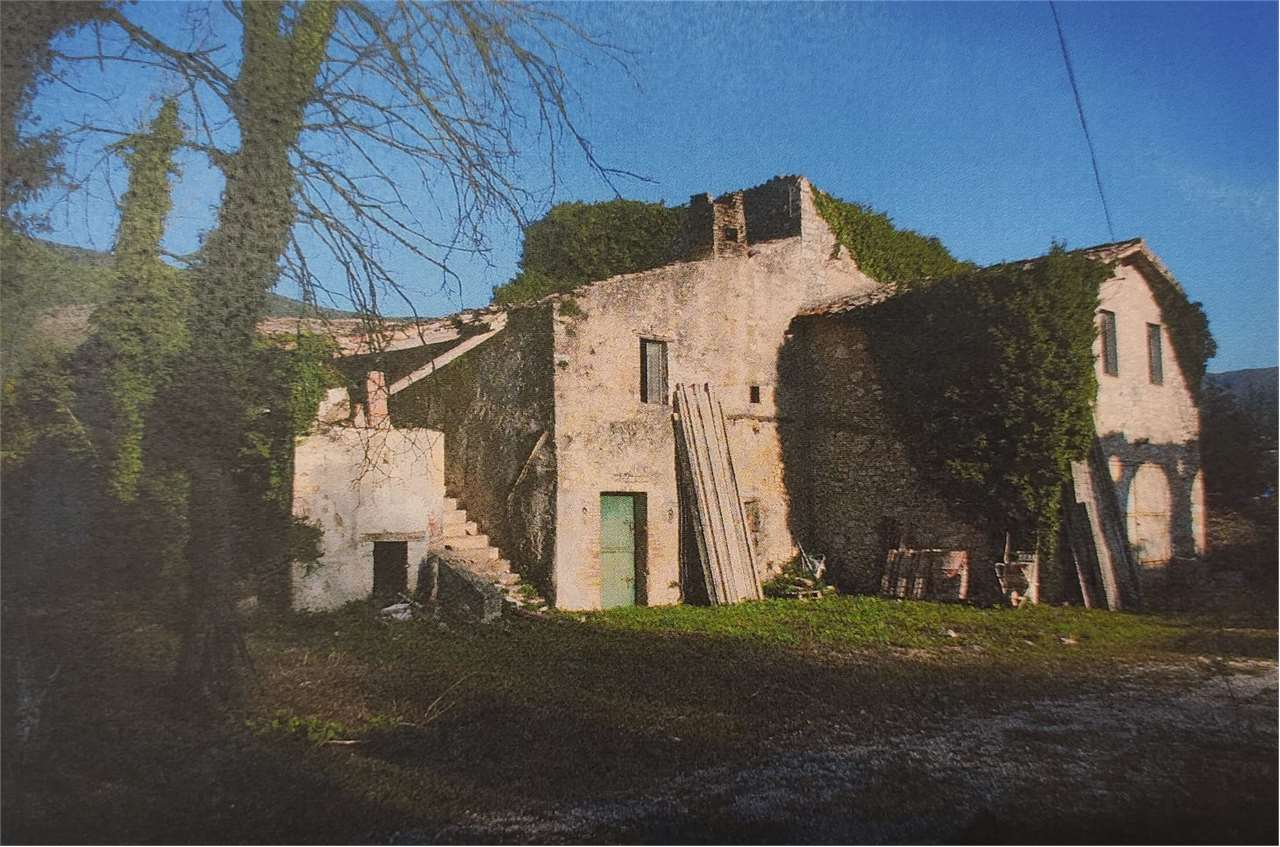 immagine annuncio 2 di 3
