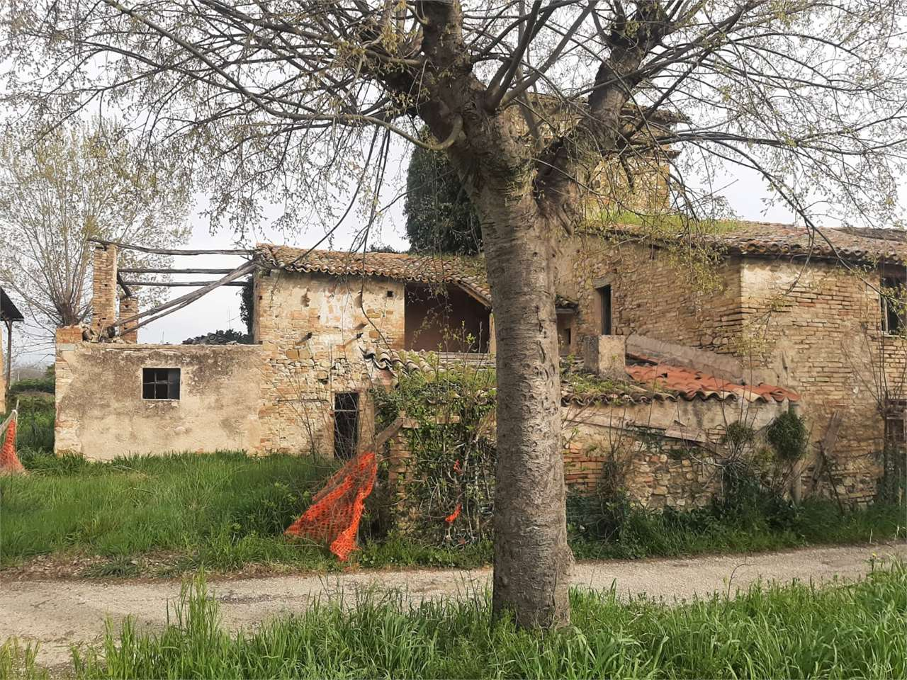 immagine annuncio 4 di 8