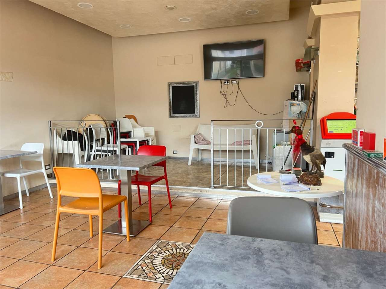 immagine annuncio 7 di 10