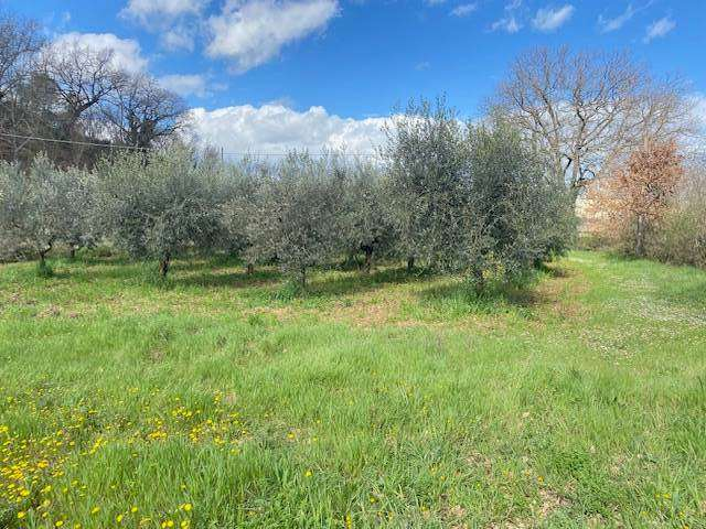 immagine annuncio 2 di 6