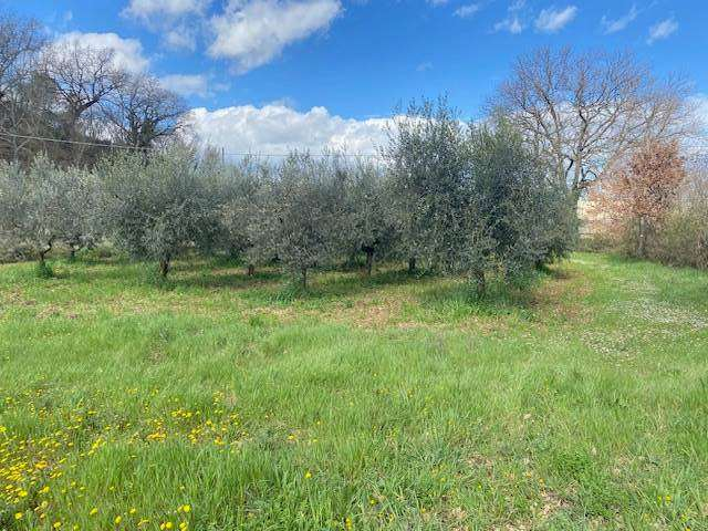 immagine annuncio 3 di 6