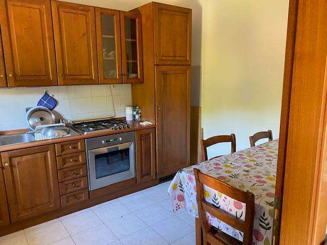 immagine annuncio 3 di 9