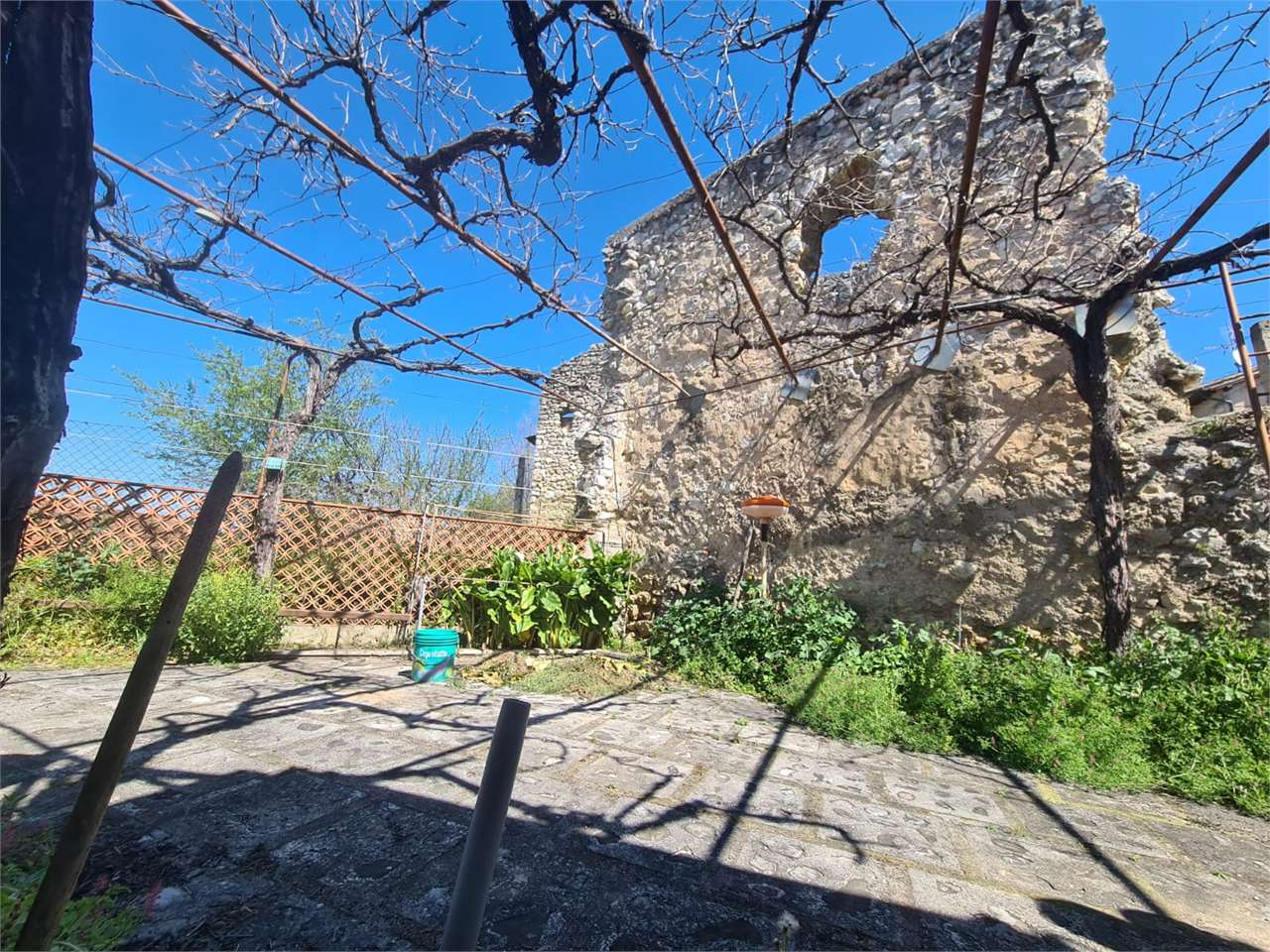 immagine annuncio 2 di 10