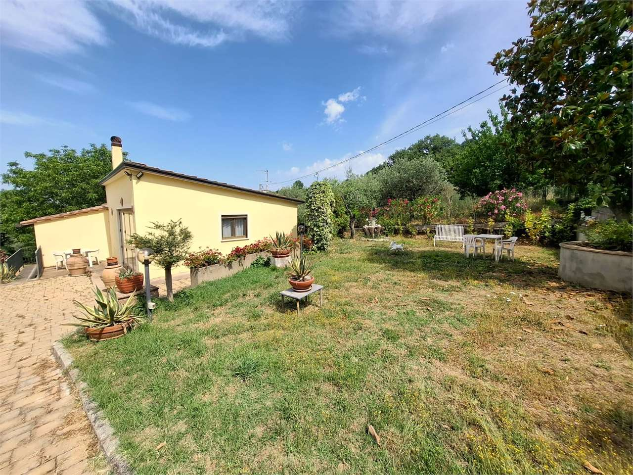 immagine annuncio 9 di 10