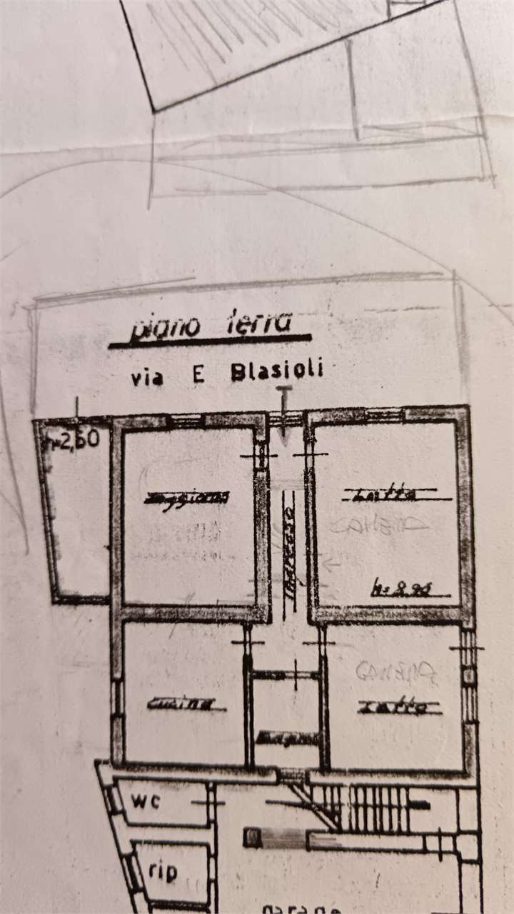 immagine annuncio 5 di 7