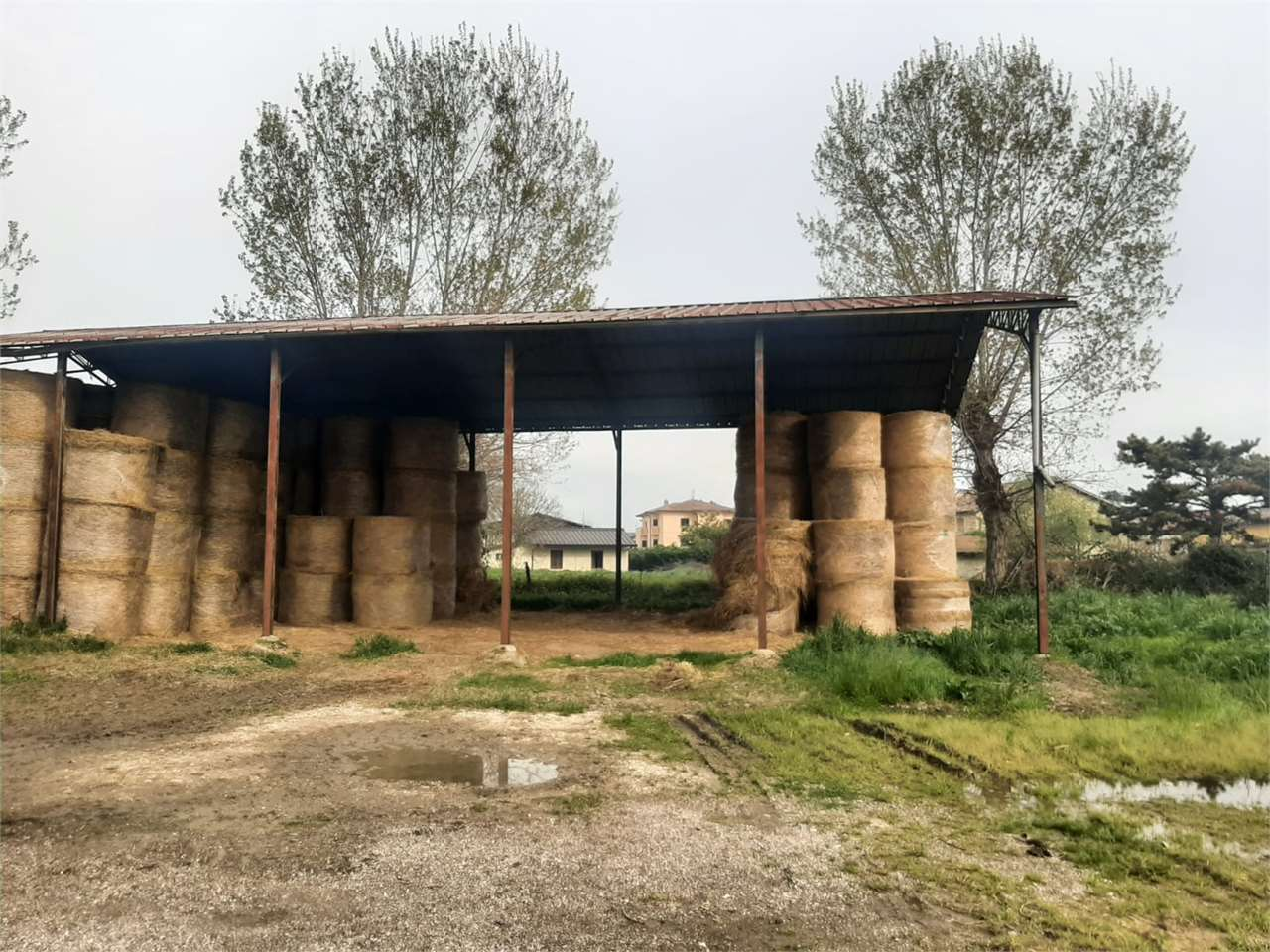 immagine annuncio 4 di 8