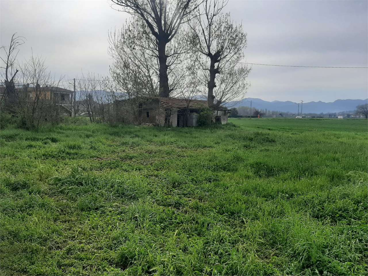 immagine annuncio 3 di 8