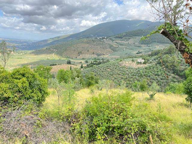 immagine annuncio 1 di 2