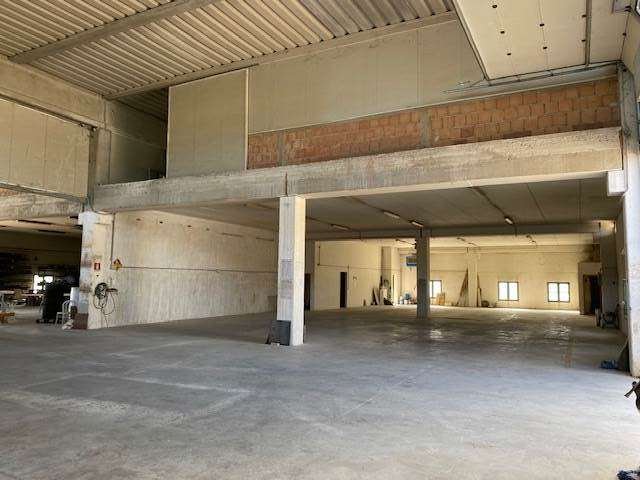 immagine annuncio 5 di 7