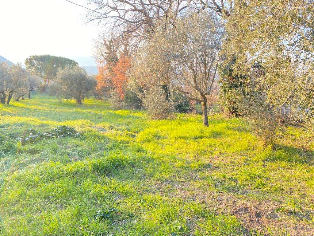 terreno edificabile in vendita a Spoleto in zona Collerisana