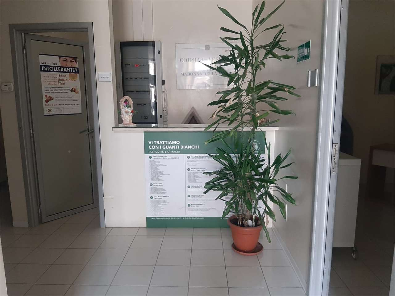 immagine annuncio 8 di 10