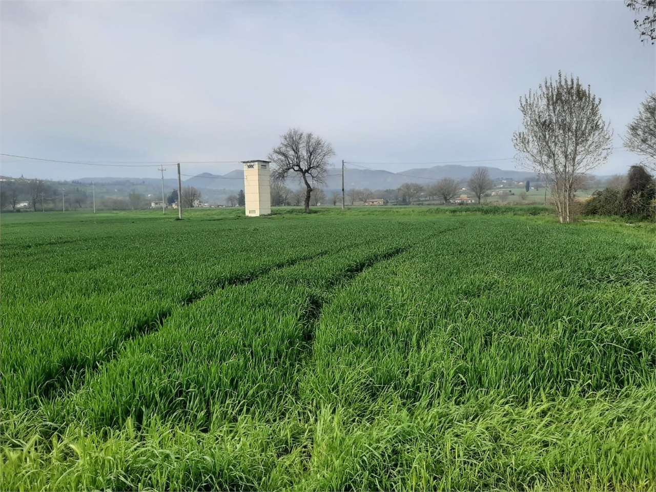 immagine annuncio 6 di 8