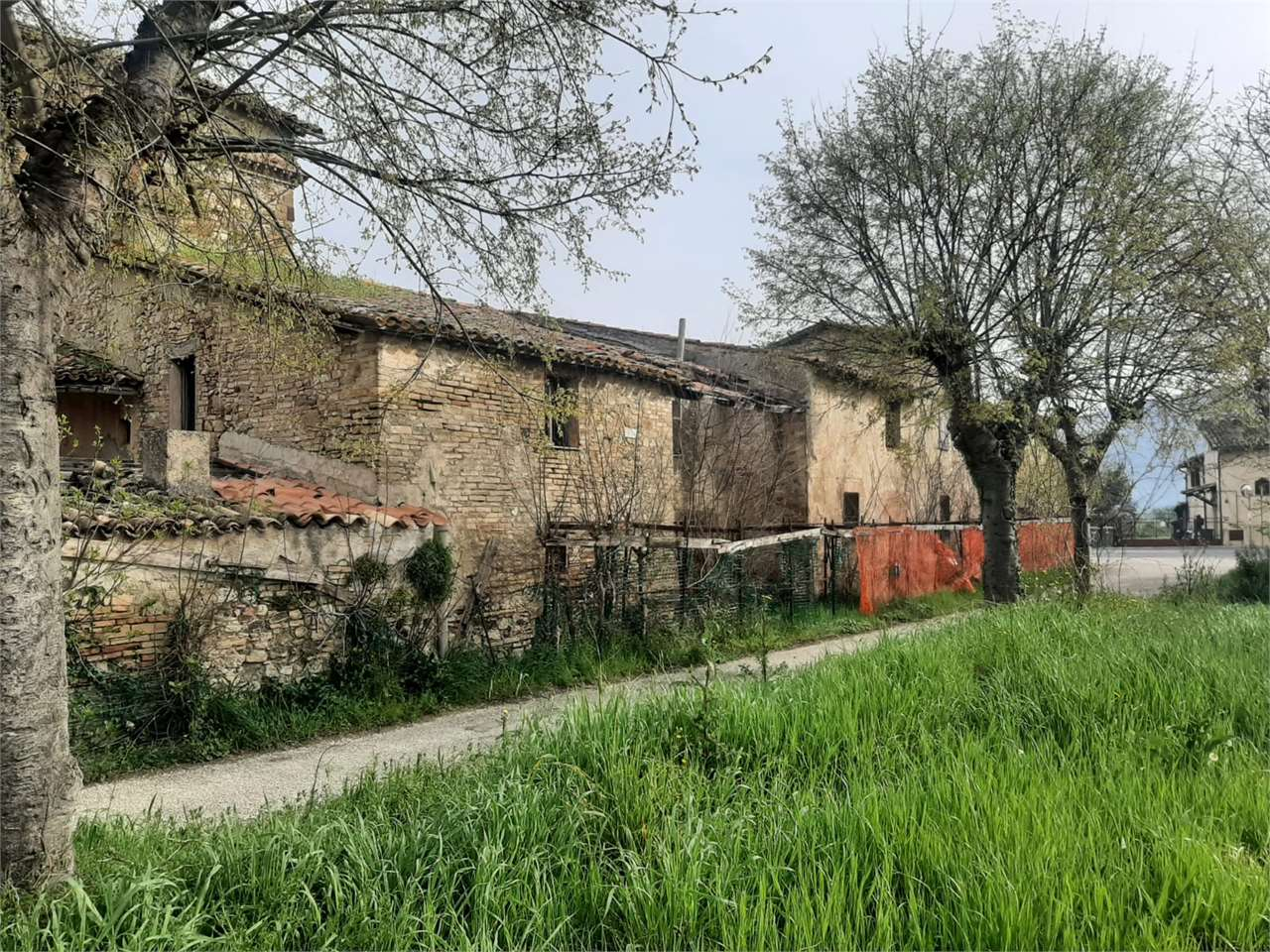 immagine annuncio 7 di 8