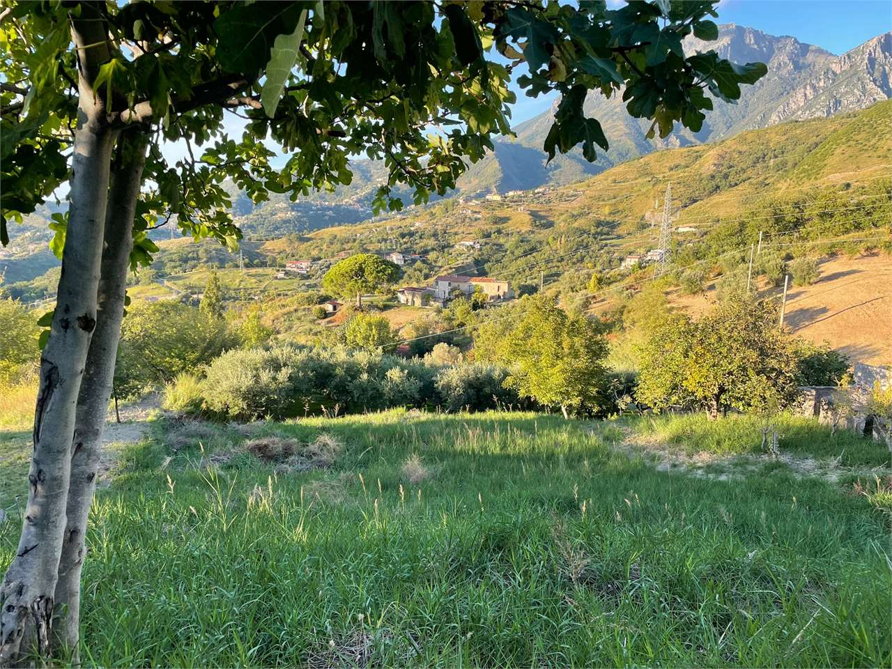 immagine annuncio 7 di 9