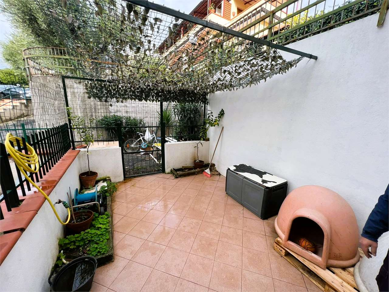 immagine annuncio 1 di 10