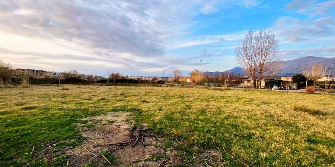 immagine annuncio 2 di 9