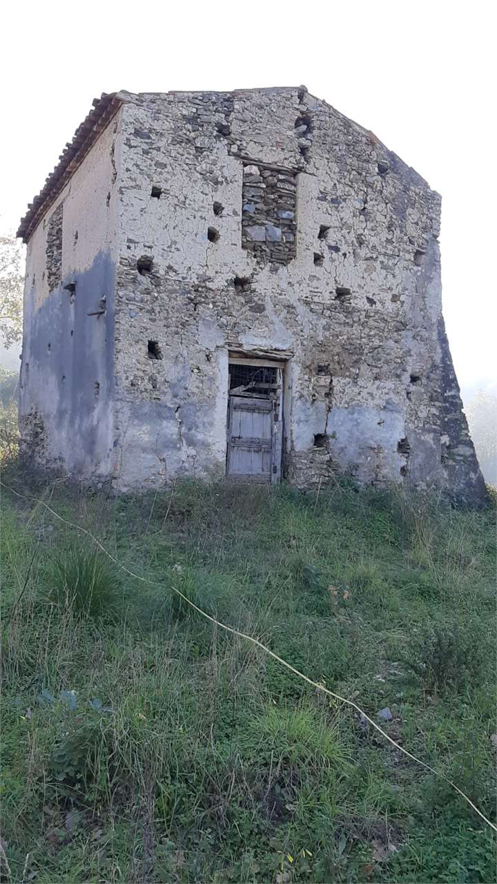 immagine annuncio 4 di 8