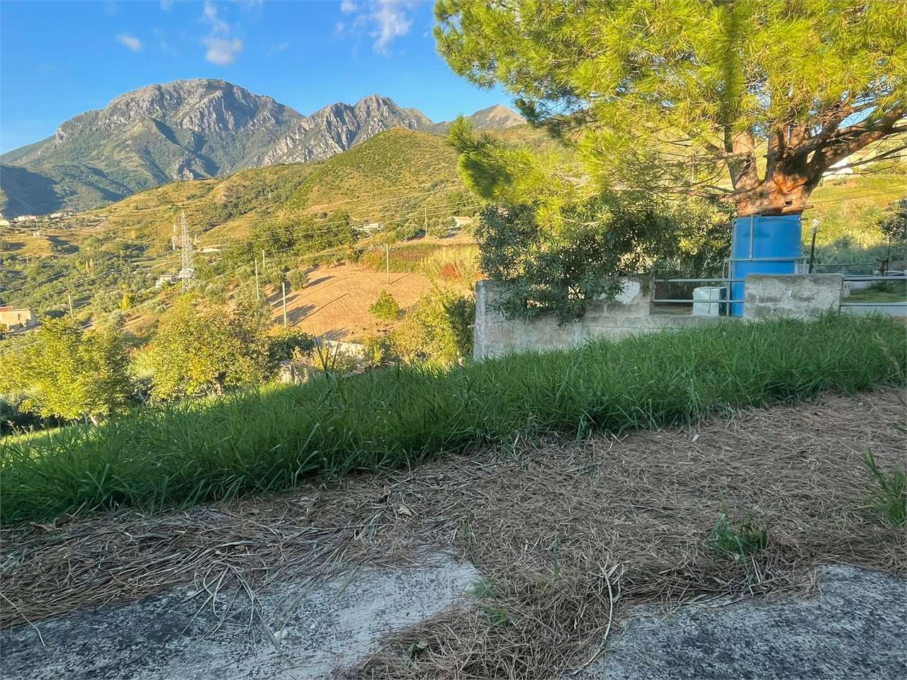 immagine annuncio 4 di 9