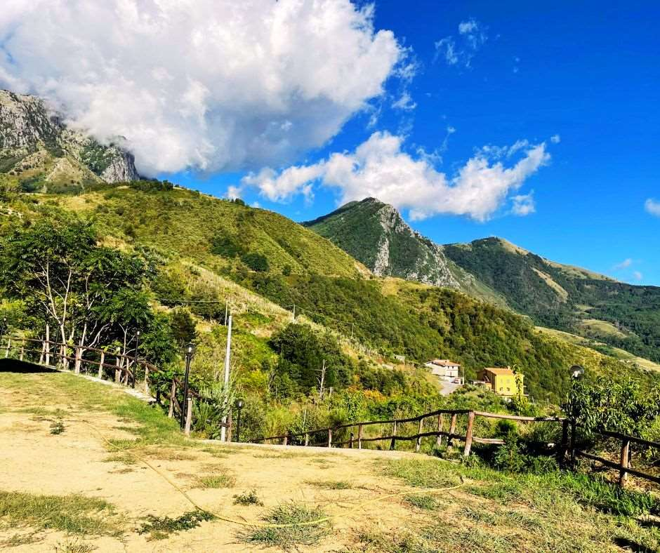 immagine annuncio 9 di 10