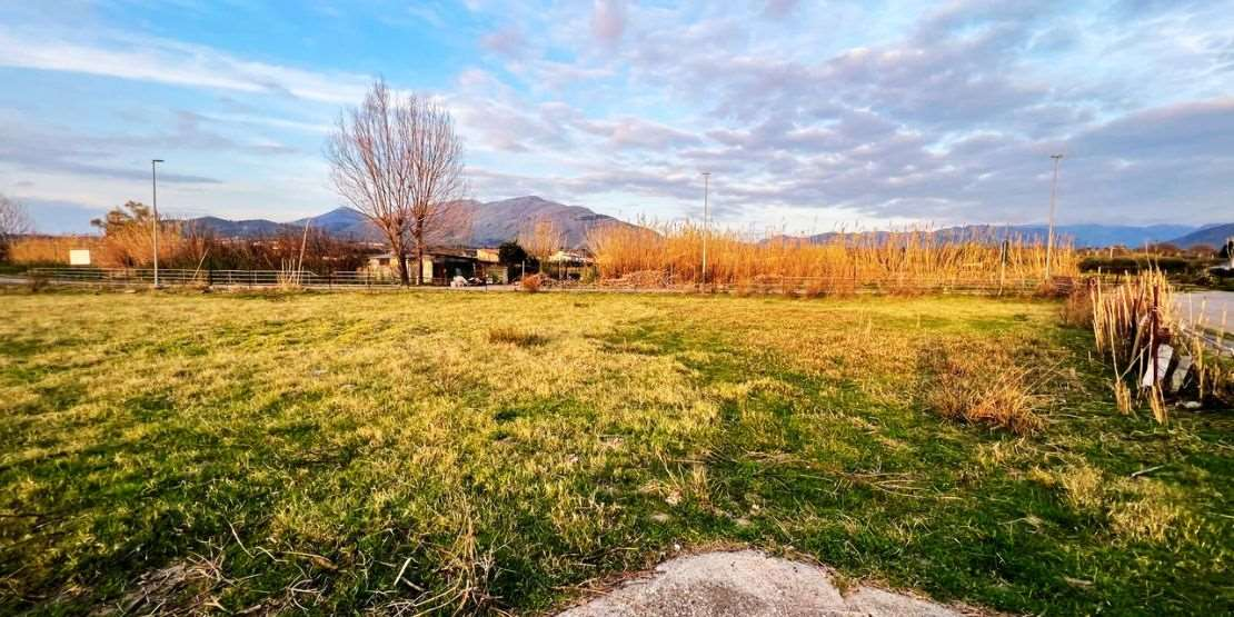 immagine annuncio 5 di 9