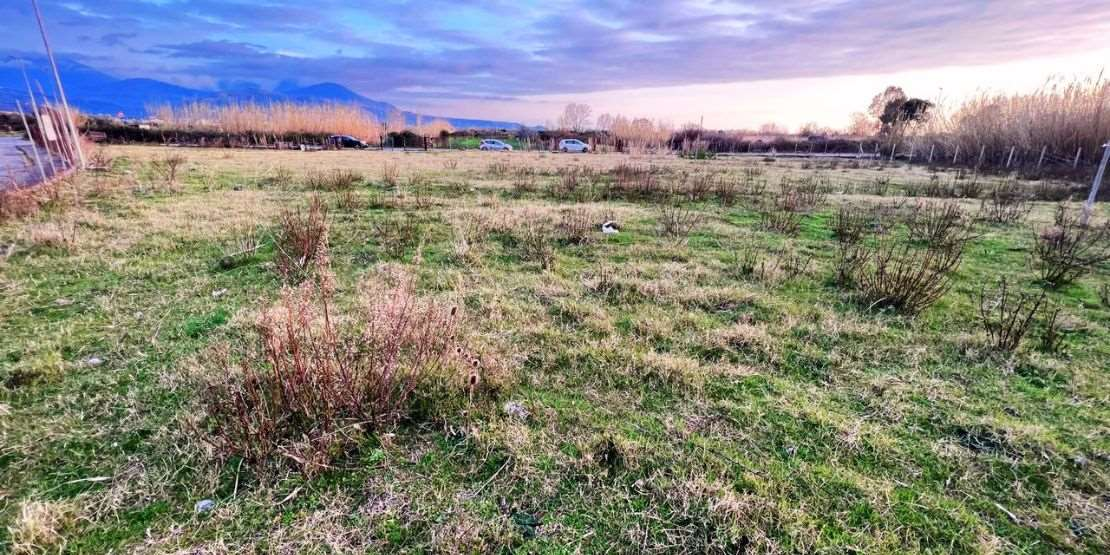 immagine annuncio 7 di 9