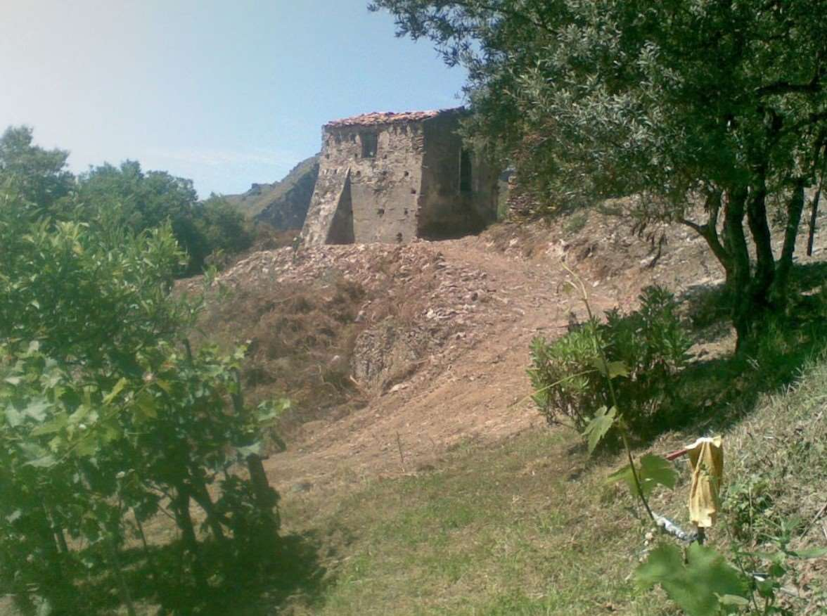 immagine annuncio 3 di 8