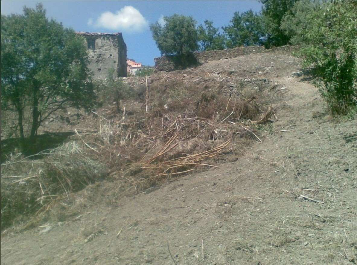 immagine annuncio 5 di 8