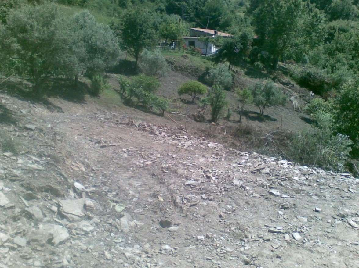 immagine annuncio 6 di 8