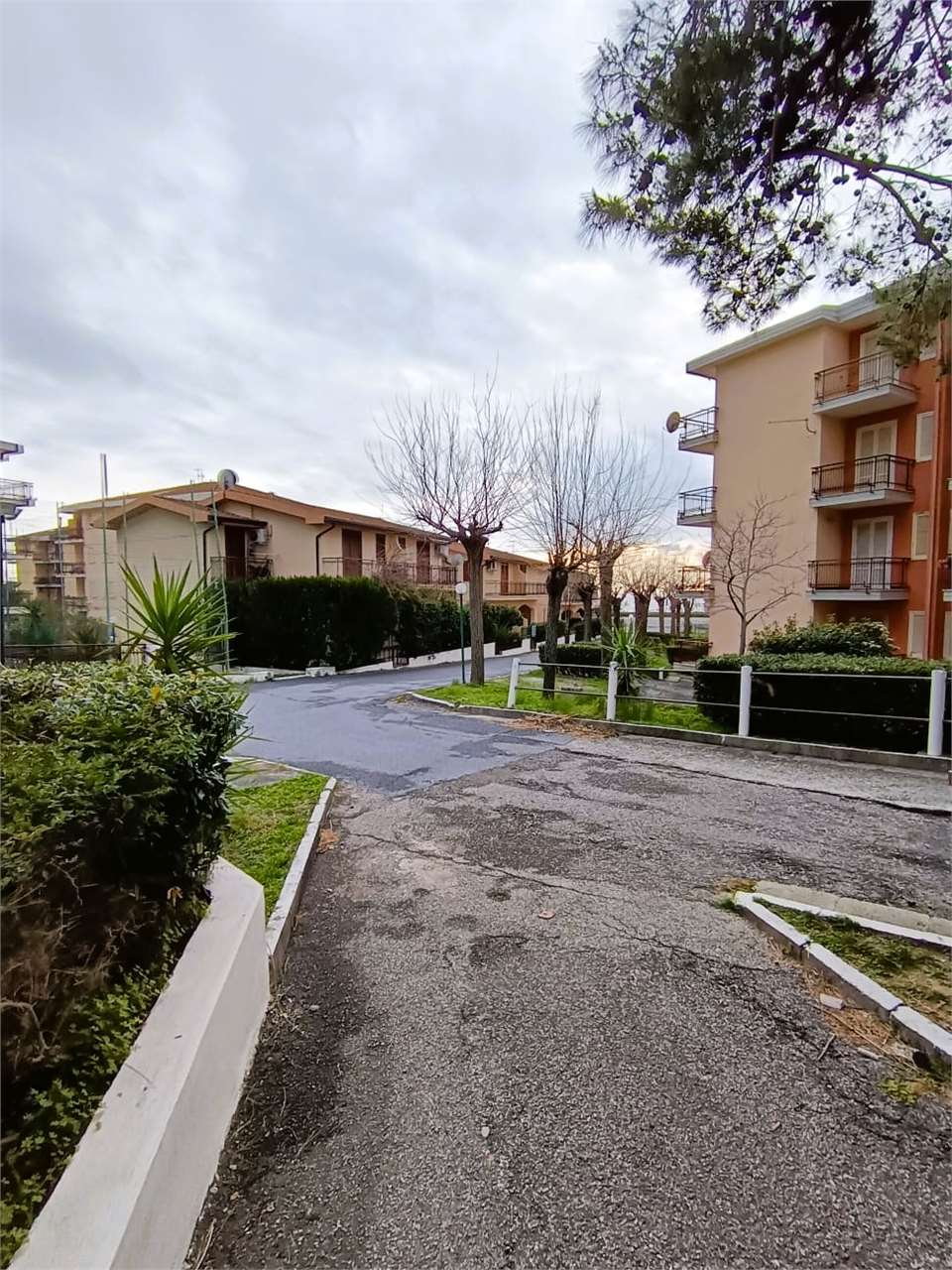 immagine annuncio 3 di 10