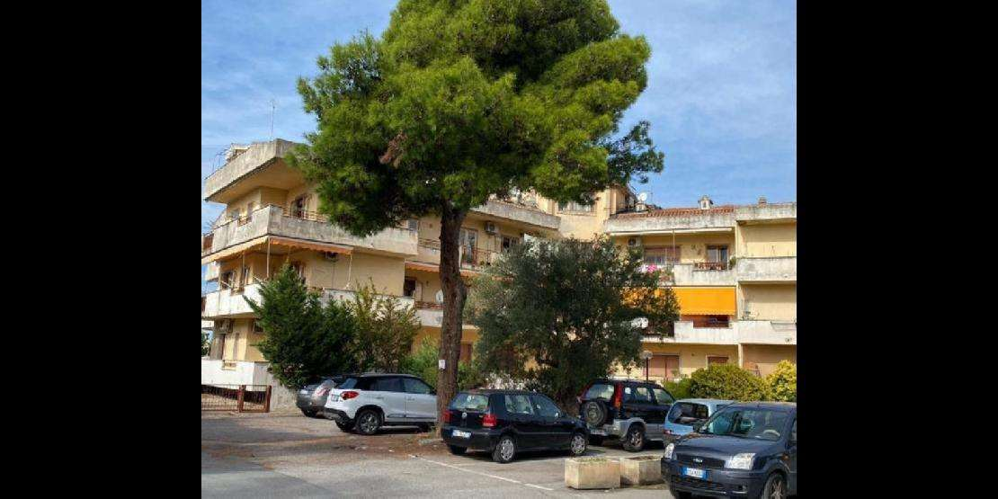 immagine annuncio 3 di 9