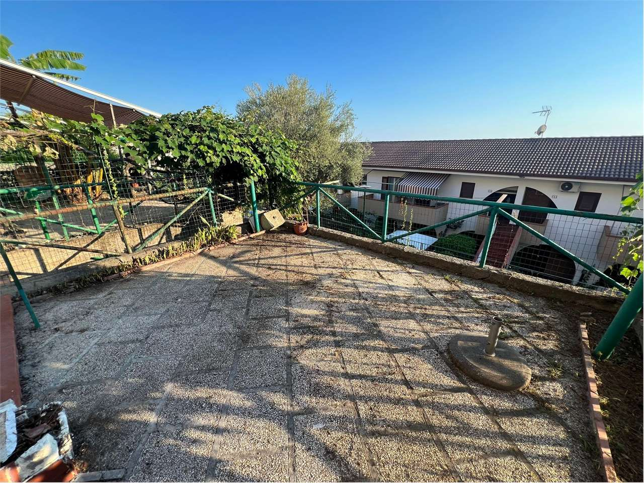 immagine annuncio 1 di 9