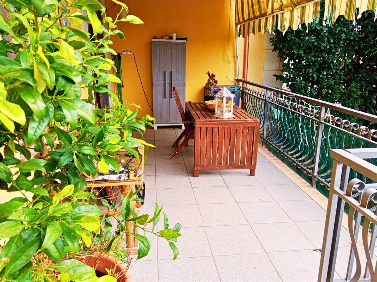 immagine annuncio 2 di 10