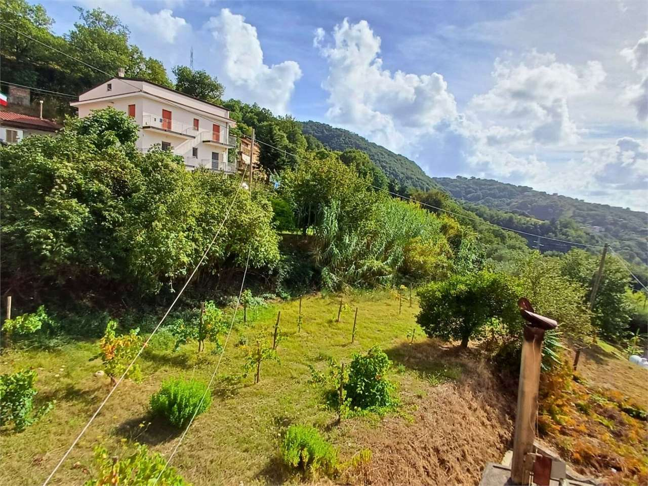 immagine annuncio 8 di 10