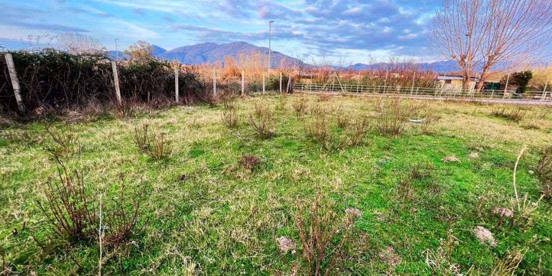 immagine annuncio 7 di 9