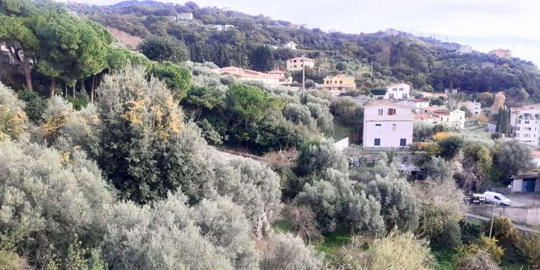 immagine annuncio 2 di 10