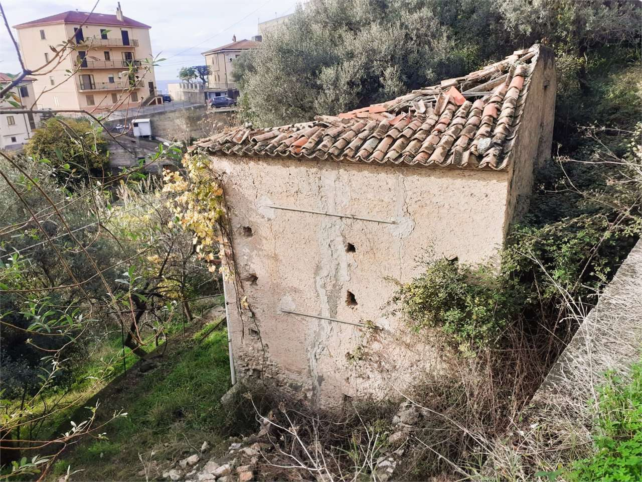 immagine annuncio 8 di 10