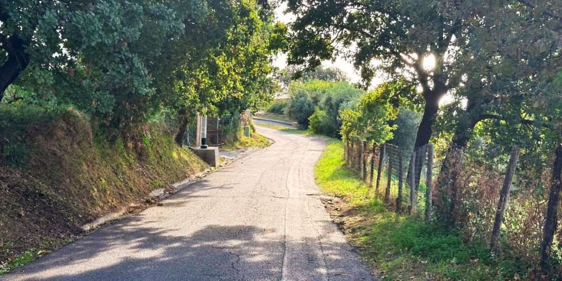 immagine annuncio 3 di 7