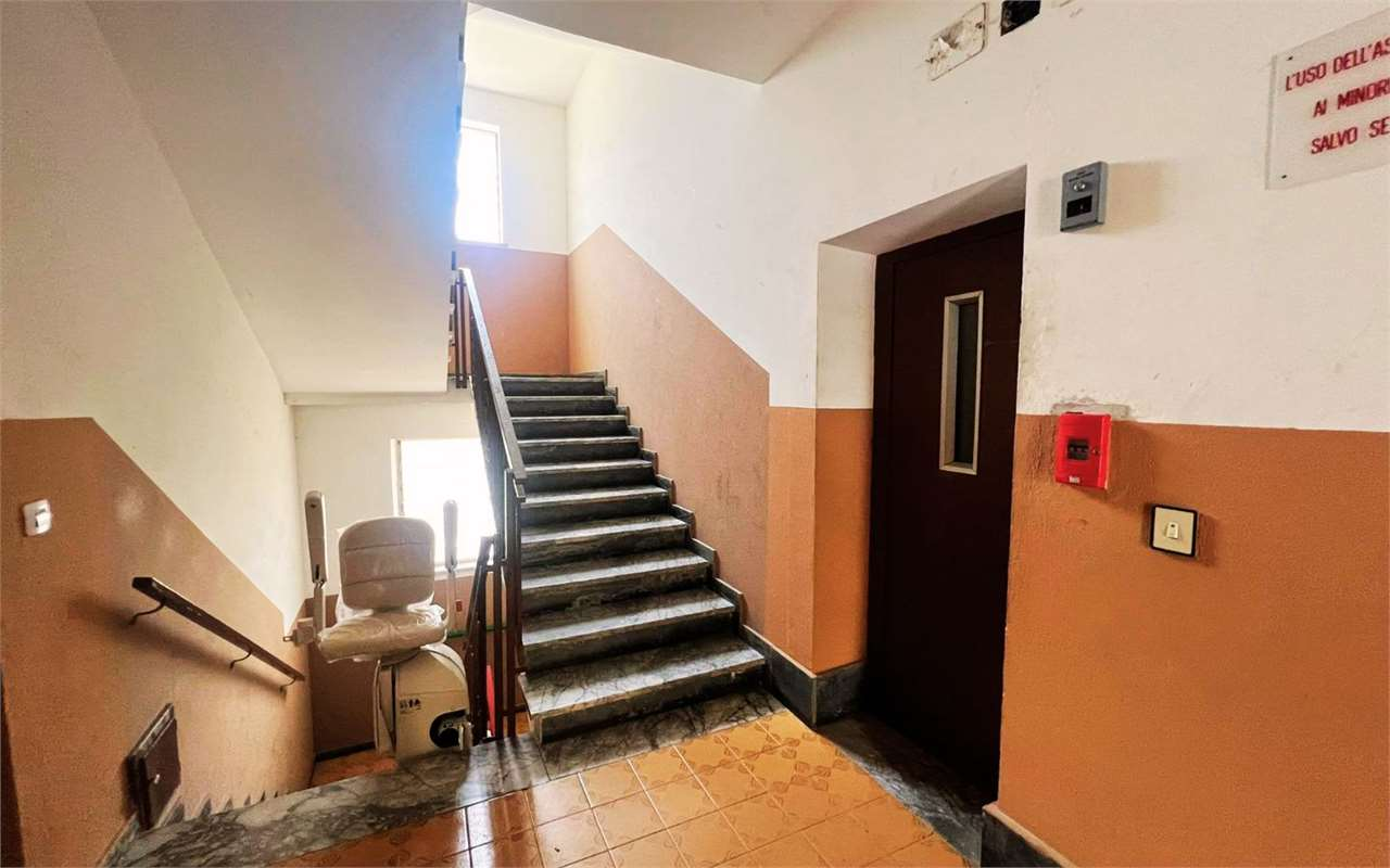 immagine annuncio 9 di 10