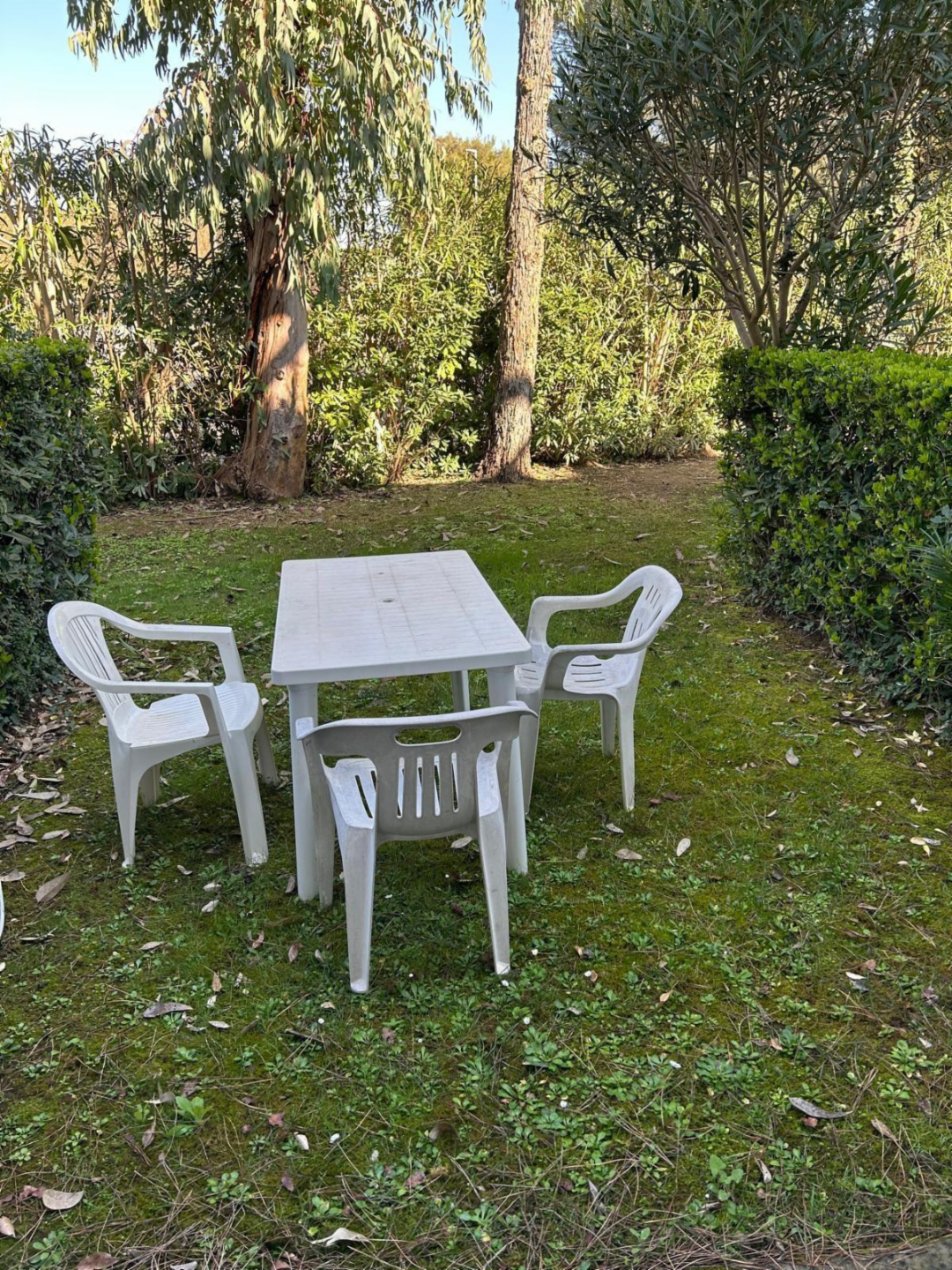 immagine annuncio 8 di 9