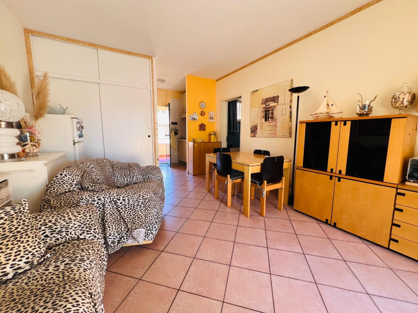 appartamento in vendita a Bibbona in zona Marina di Bibbona
