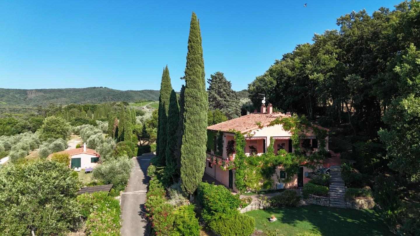 casa indipendente in vendita a Castagneto Carducci in zona Bolgheri