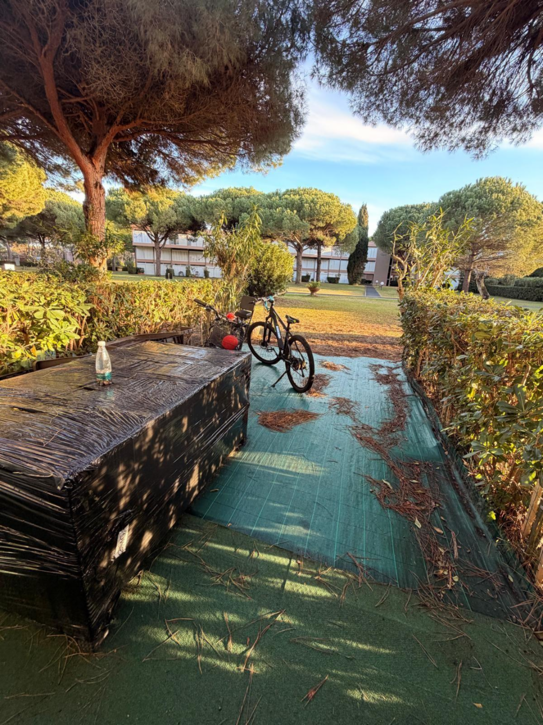 immagine annuncio 7 di 10