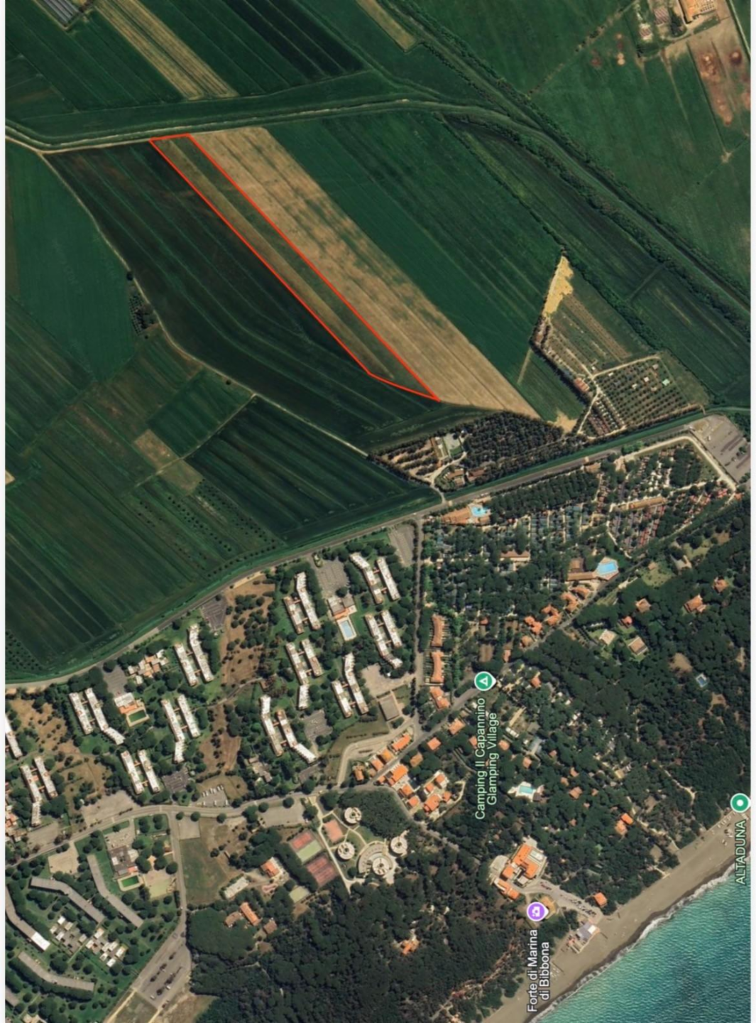 immagine annuncio 1 di 2
