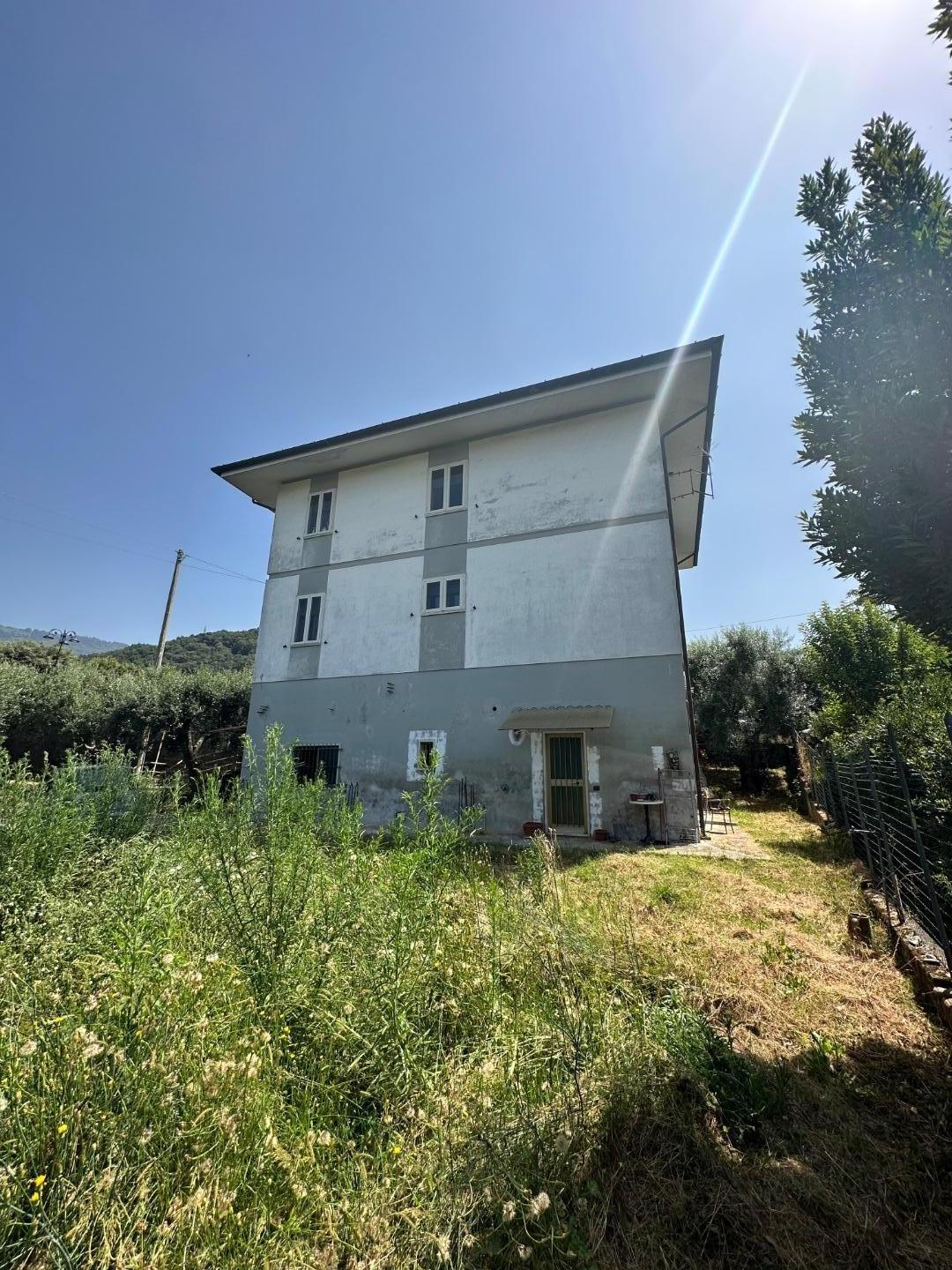 immagine annuncio 2 di 4