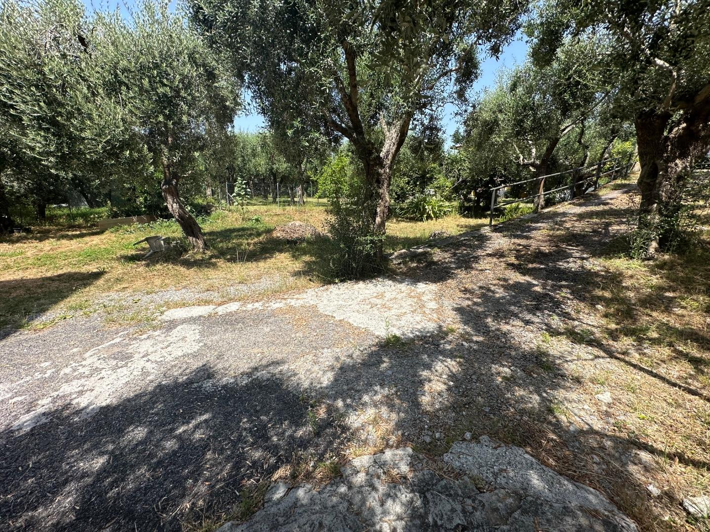 immagine annuncio 3 di 4