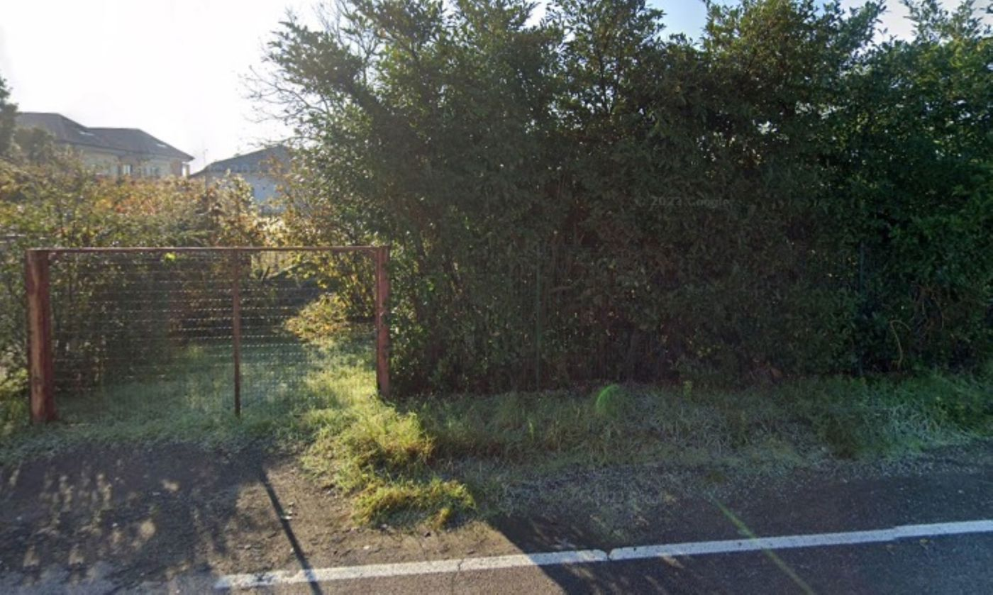 immagine annuncio 3 di 7