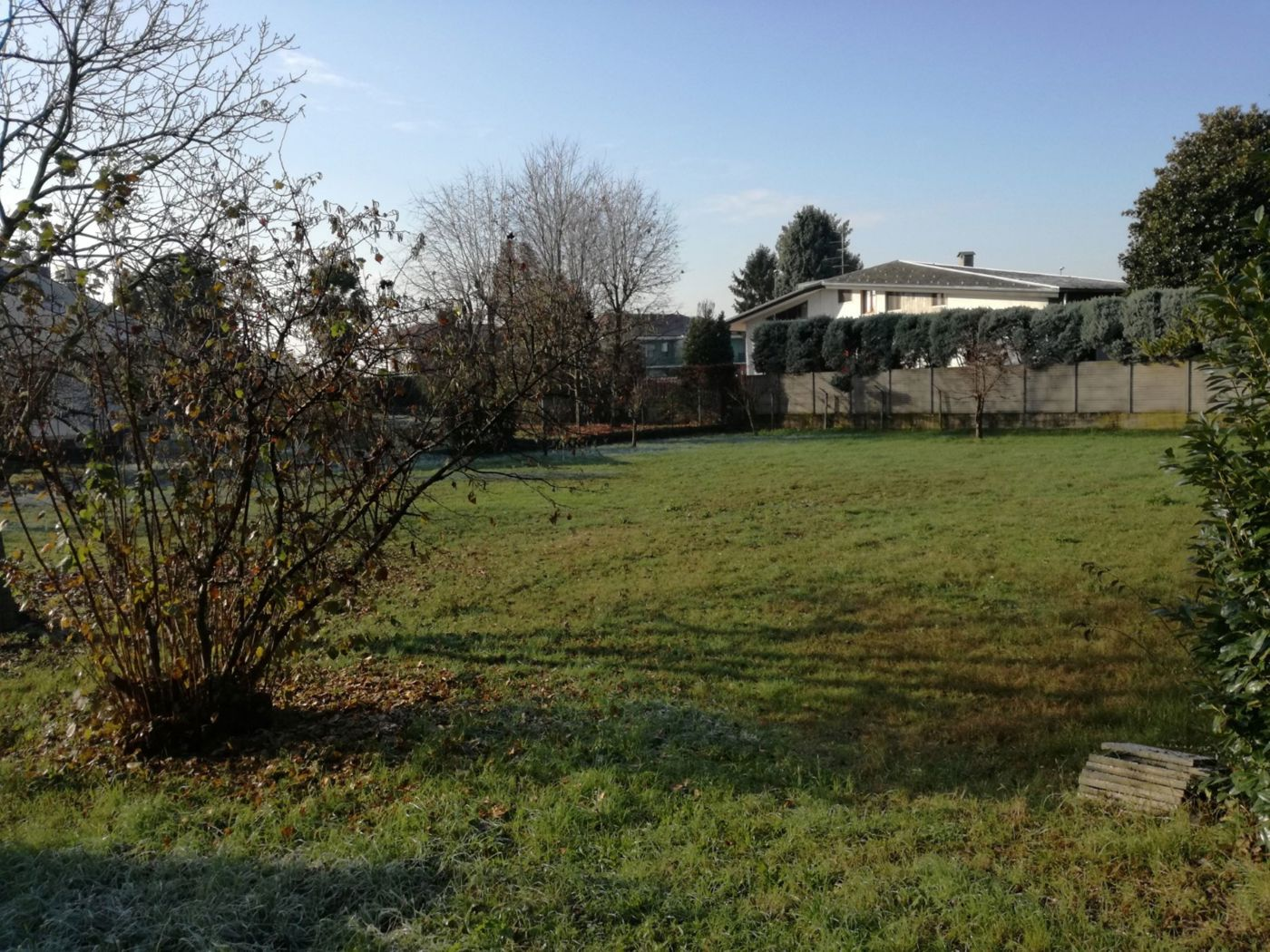 immagine annuncio 5 di 7