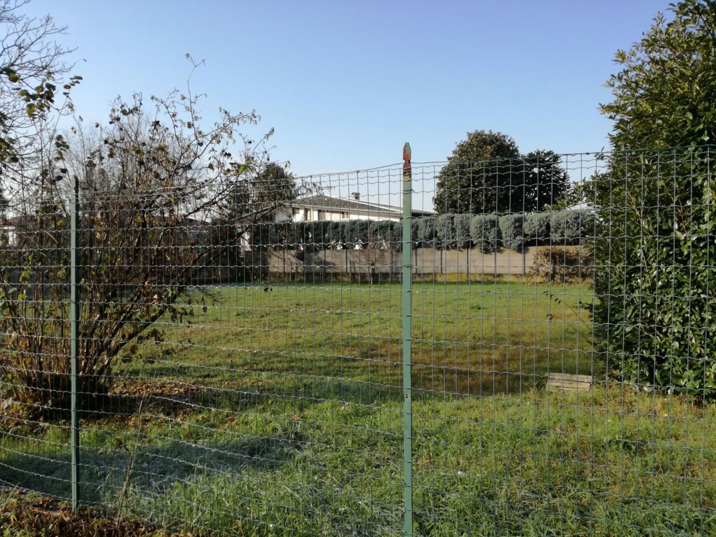 immagine annuncio 6 di 7