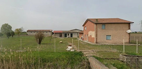 immagine annuncio 1 di 10