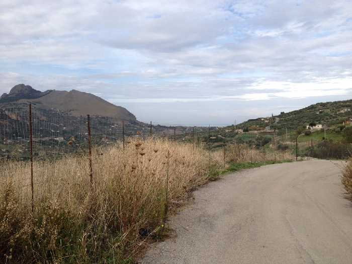 immagine annuncio 4 di 6
